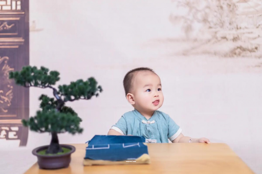 丽水八个月宝宝零食 丽水八个月宝宝零食